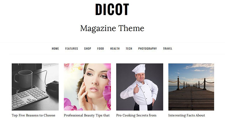 Download Dicot – Magazine WP Theme Now!