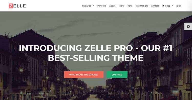 Zelle Pro WordPress Theme Download