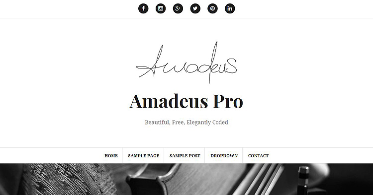 Amadeus Pro Bloggers WP Theme