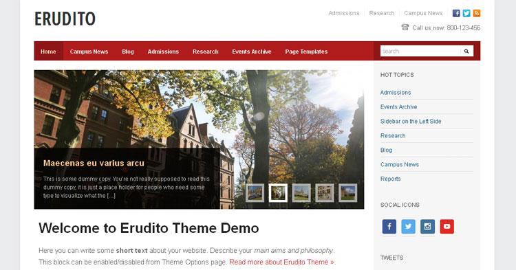 Download Erudito Education WP Theme now!