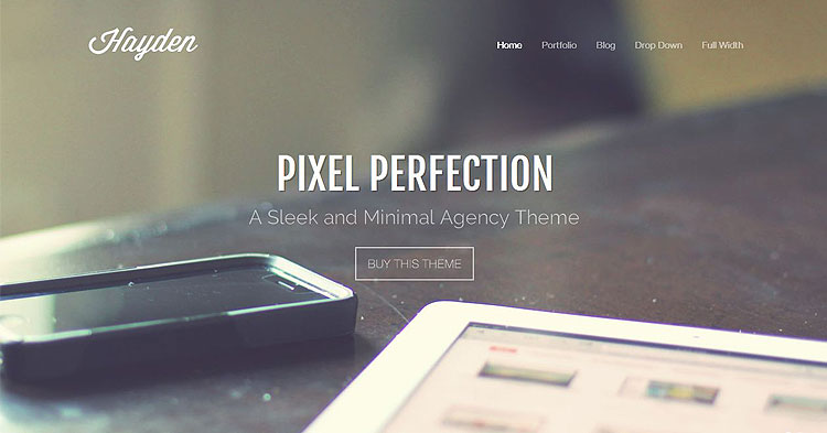 Download Hayden Portfolio WP Theme now!