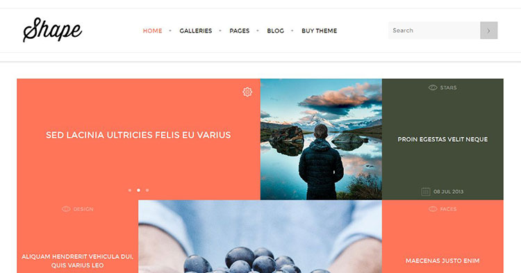 Download Shape Photography WordPress Theme Now!