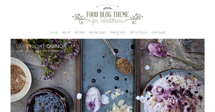 Download Food Blog WordPress Theme now!