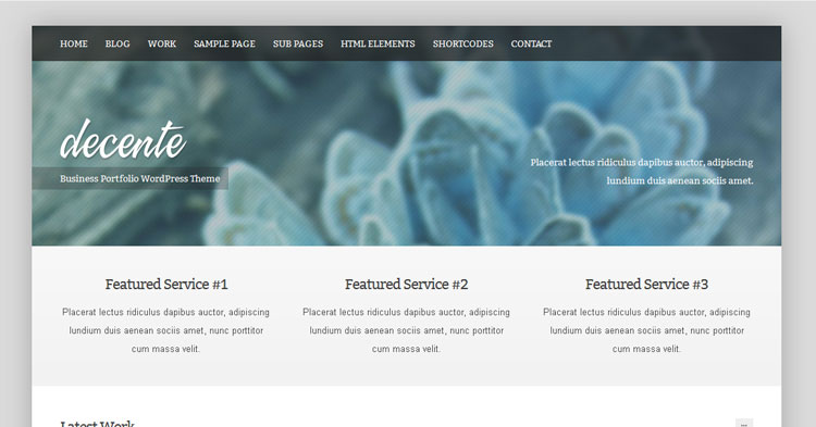 deCente Business Portfolio Theme