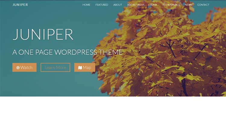 Juniper One Page WordPress Theme