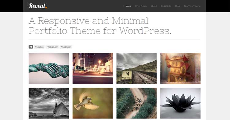 Reveal WordPress Portfolio Theme