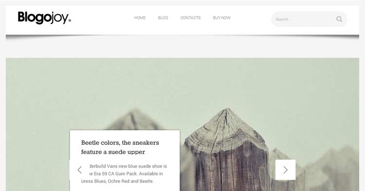 Blogojoy – Minimalist Blog WP Theme