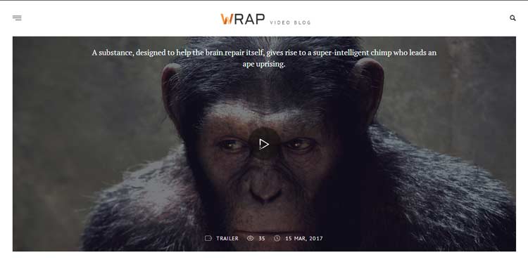 Download Wrap Video Blog WordPress Theme now!