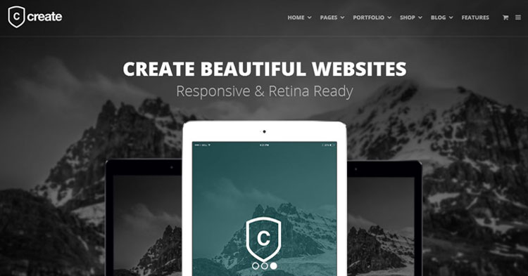 Download Create Versatile WordPress Theme now!