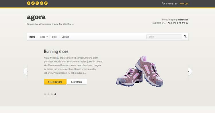 Agora eCommerce WordPress Theme