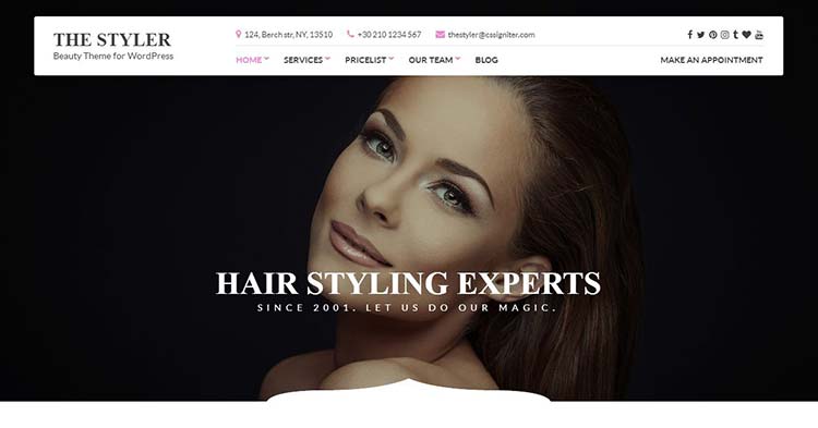 Download The Styler Beauty Health WP Theme now!