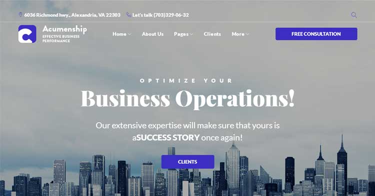 Acumenship Consulting Agency WP Theme