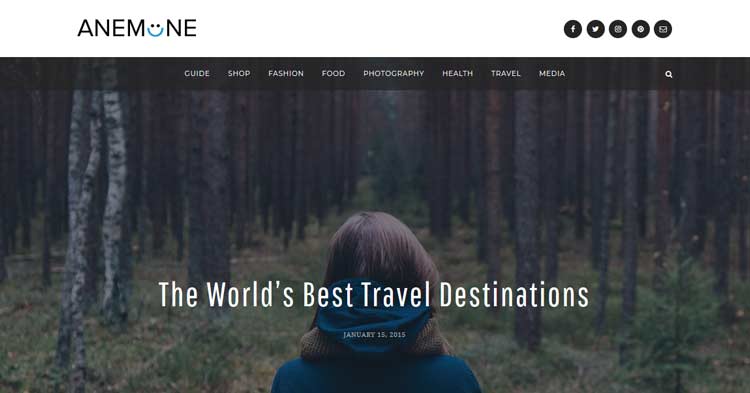 Download Anemone Blog Magazine WordPress Theme now!