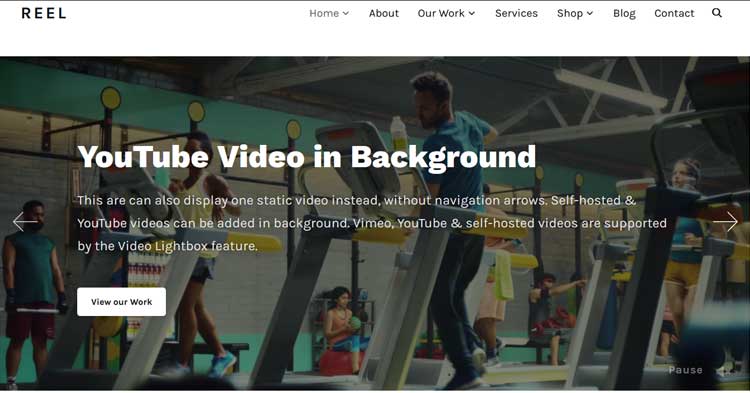 Download Reel Video Portfolio WordPress Theme Now!