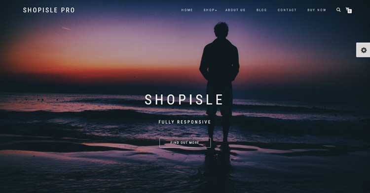 ShopIsle Pro Theme for eCommerce