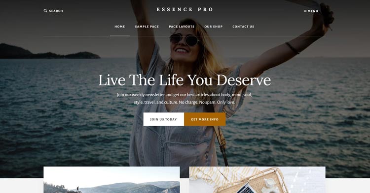 Download Essence Pro WordPress Theme now!