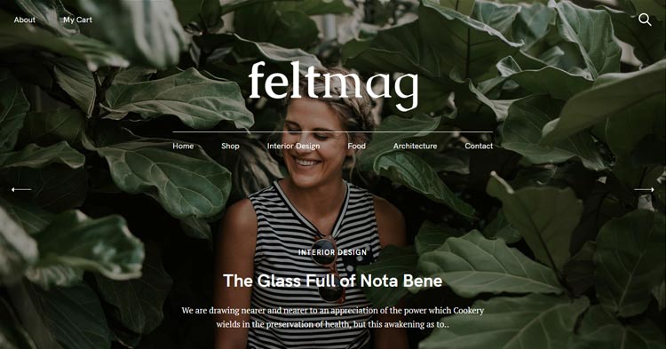 Download Feltmag Blog Magazine WordPress Theme Now!