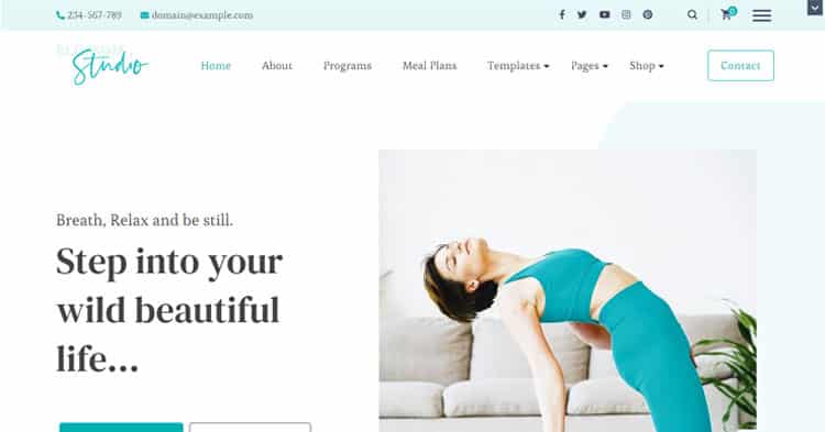 Download Blossom Studio Pro Yoga Wellness Dance WP Theme now!