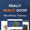 Really Really Good WordPress Themes from WPZoom