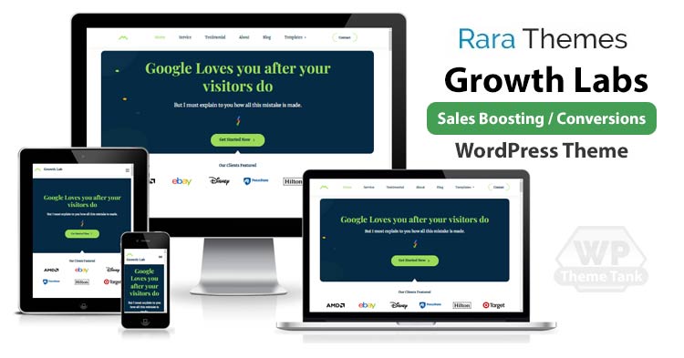 Download RaraThemes - Growth Labs Theme for your digital business / service agency website