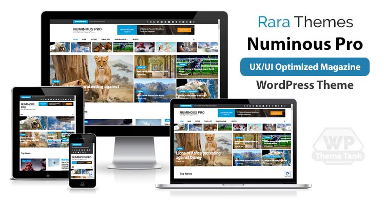 Download RaraThemes - Numinous Pro Theme for Google AdSense Optimized WordPress theme