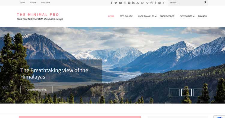 Download The Minimal Pro WordPress Theme now!