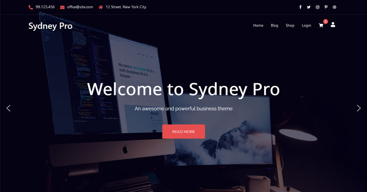 Download Sydney Pro WordPress Theme now!