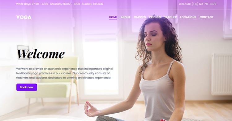 Download Ultra Multipurpose WordPress Theme now!